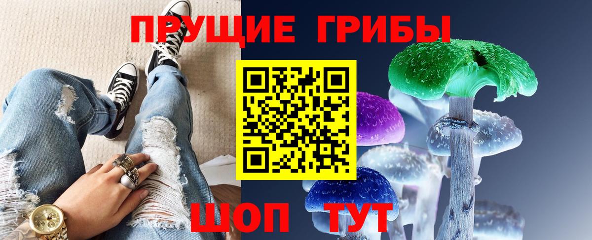 Псилоцибиновые грибы прущие грибы  Вход с VPN  где купить наркотик  Сыктывкар 