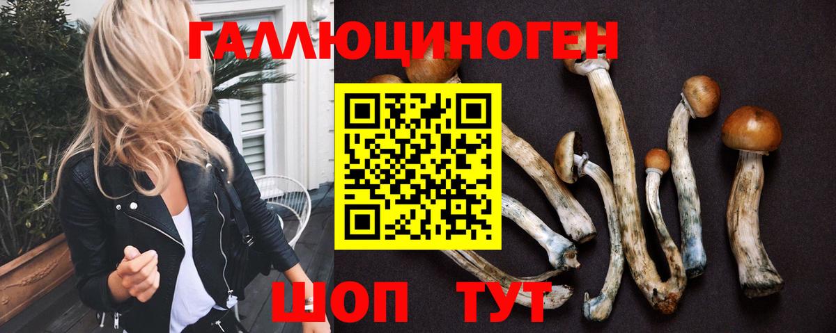 Псилоцибиновые грибы прущие грибы Сыктывкар